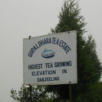 Darjeeling Gopaldhara Estate sign